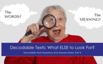 Decodable Texts Q&A (Part 4):  What Else to Look For – The MEANING