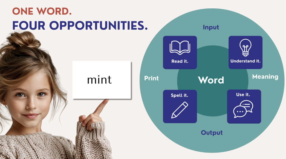 One word, four opportunities: read it, spell it, understand it, use it